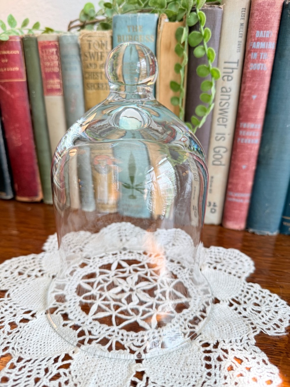 ❤️RESERVED❤️DO NOT BUY!Vintage French Crystal Cloche Bell Jar - Picture 9 of 10